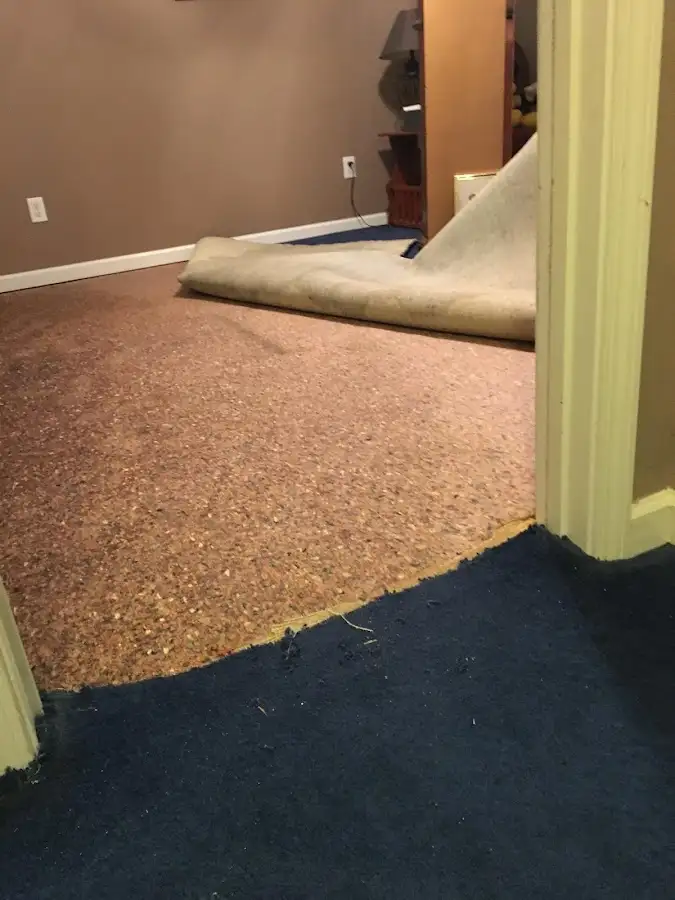 Carpet pad removal revealing water damage during Water Mitigation Services in Woodlawn