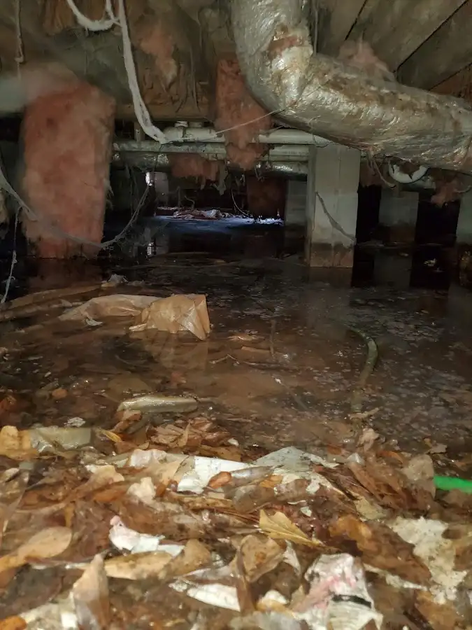 Crawl space flood assessment for Commercial Water Damage Restoration in Woodlawn