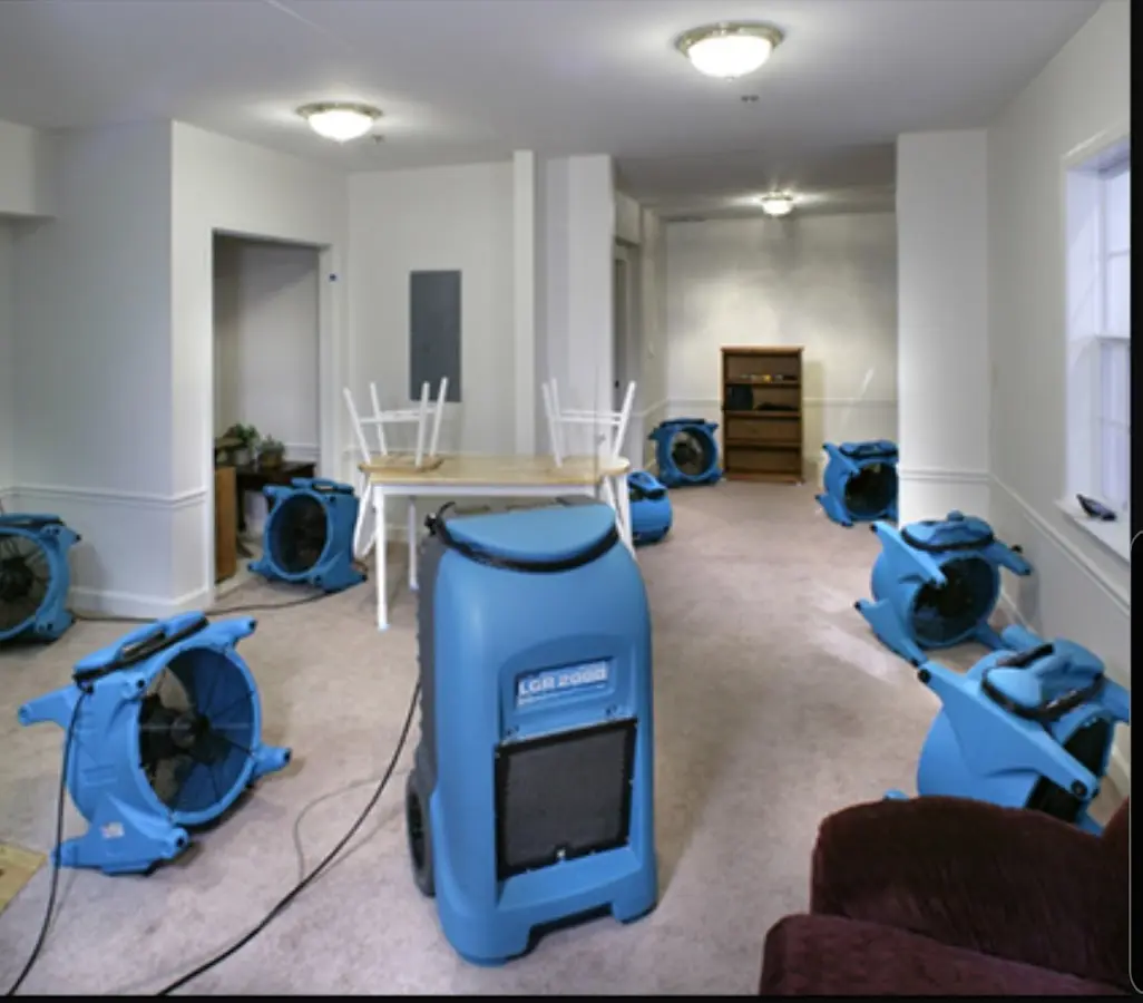 Air movers and dehumidifier setup for Water Extraction & Removal in Woodlawn